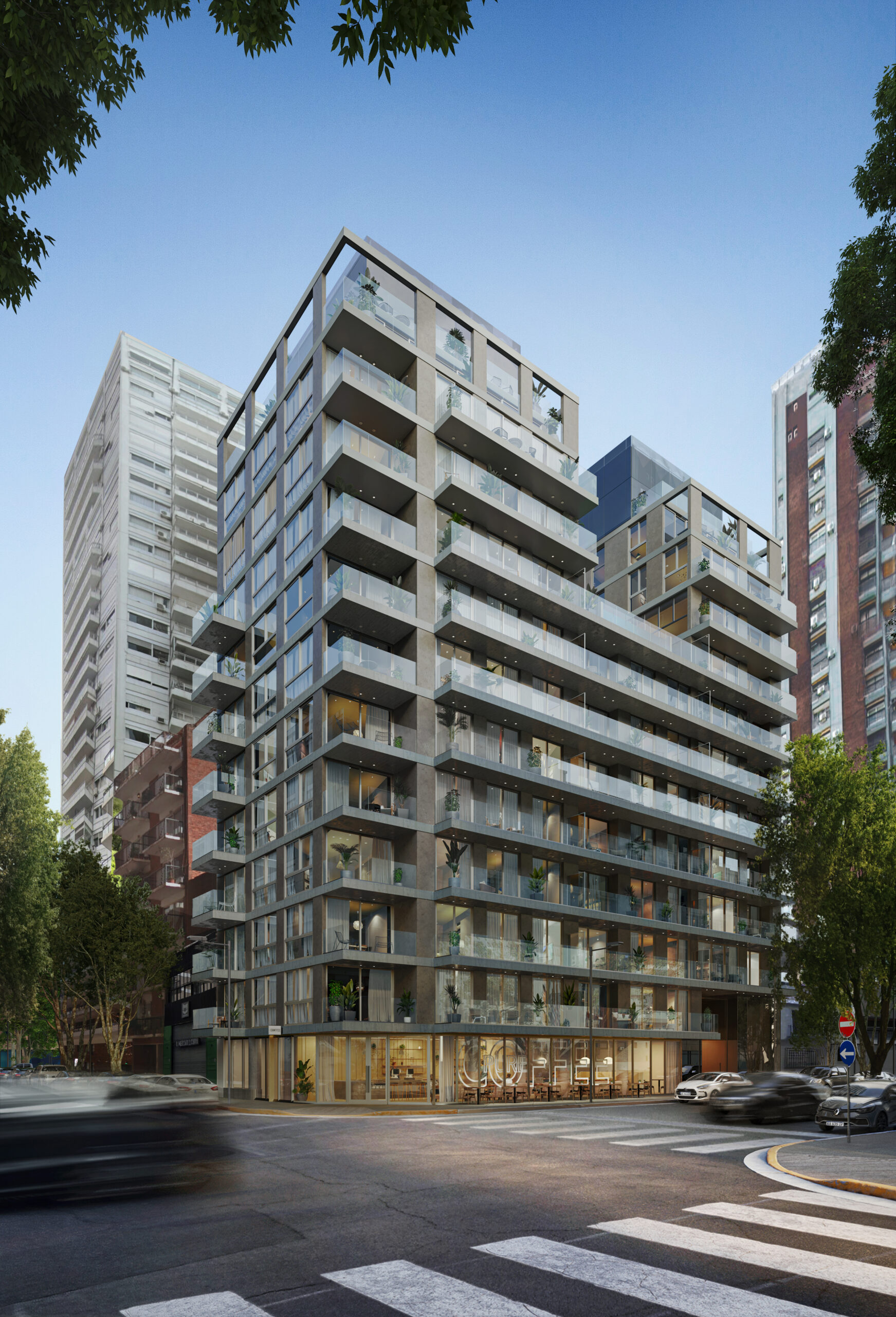 Solar-Cavia-nuevo (2)